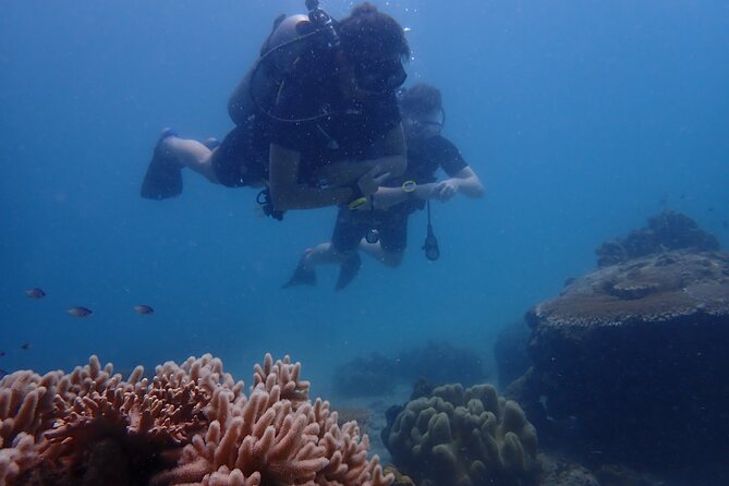 Dive Trip Experience in Koh Tao - Your first session in Koh Tao’s waters