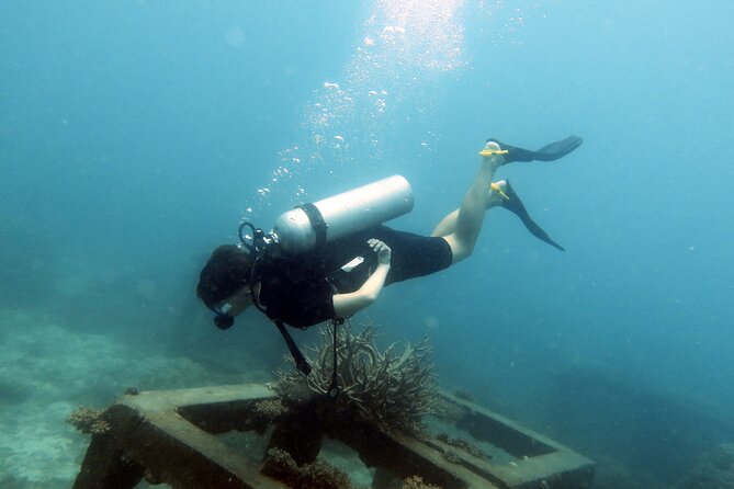 Dive Trip Experience in Koh Tao - The boat ride to Koh Tao