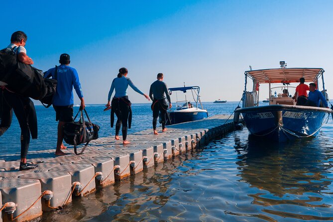 Dive trip to the coral reefs of Fujairah for certified scuba divers - Key points to know before booking