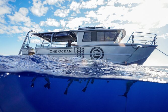 Dive with Sharks in Hawaii: Shark Tour from Haleiwa - Haleiwa Harbor is the starting point