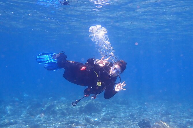 Dives Packages with Transfers in Tenerife - Why this Tenerife trip works well for certified divers