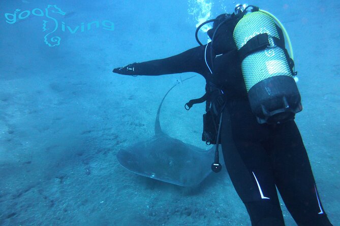 Dives Packages with Transfers in Tenerife - Starting at Sand Club at 9 am