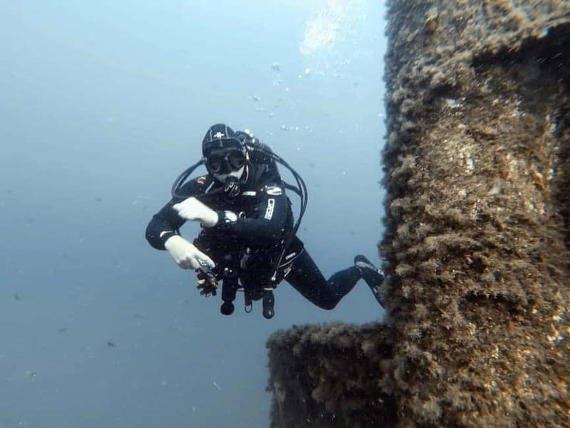 Diving - Meeting the fish at Lake Wörthersee