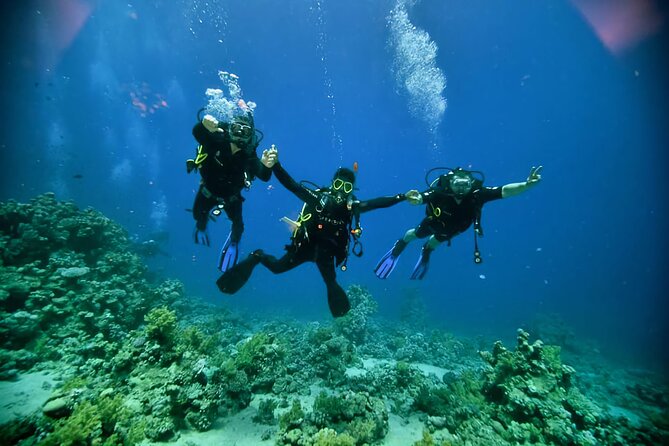 Diving And Snorkeling To Ras Mohamed And White Island By VIP Boat - From your hotel to Sharm el Sheikh’s marina