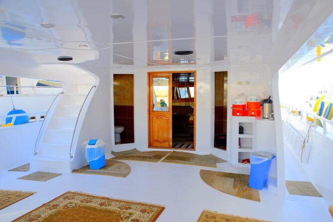 Diving And Snorkeling To Ras Mohamed And White Island By VIP Boat - Booking advice and cancellation details