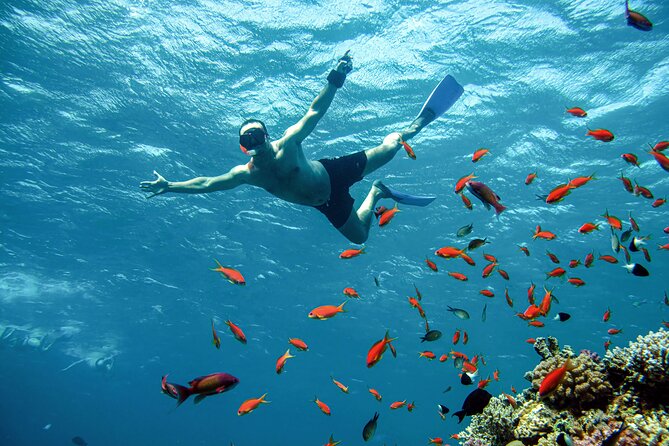 Diving and Visiting Giftun island with Snorkeling Boat Trip - Leaving Hurghada by boat at 8:30 a.m.