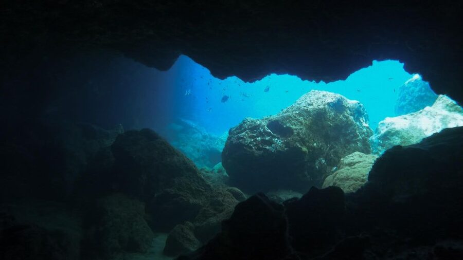 Diving at Lanzarote - 2 guided dives for certified divers - Who should book this experience