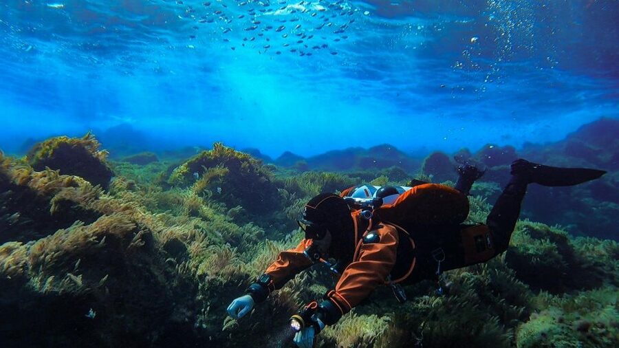 Diving at Lanzarote - 2 guided dives for certified divers - Equipment, insurance, and extra charges