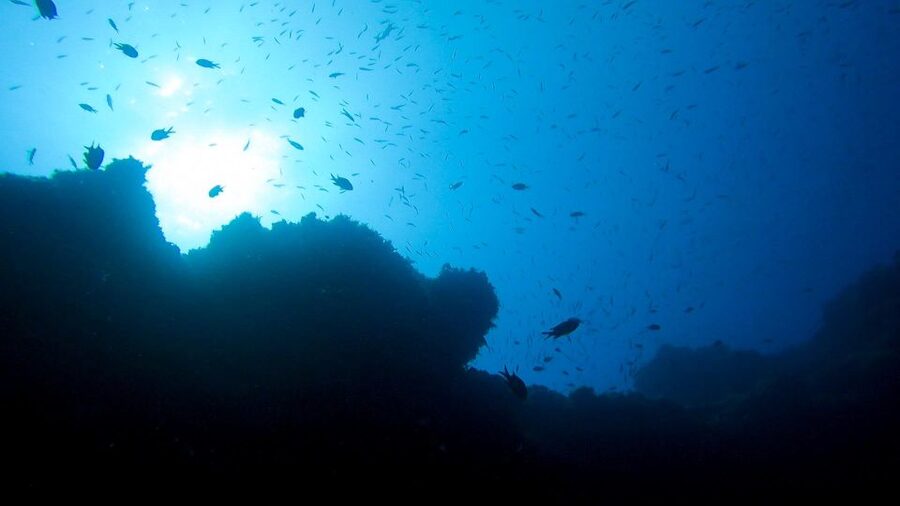 Diving at Lanzarote - 2 guided dives for certified divers - What to pack for the morning