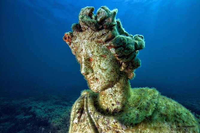 Diving at the Baia Submerged Park for certified divers - Key points at a glance