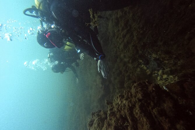 Diving at the Baia Submerged Park for certified divers - Understanding the listed stops around Baia