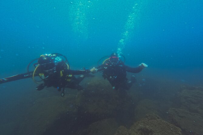 Diving at the Baia Submerged Park for certified divers - What the $99.94 price really covers