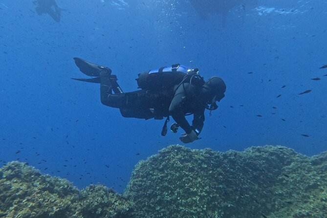 Diving at the Baia Submerged Park for certified divers - Who should book this activity