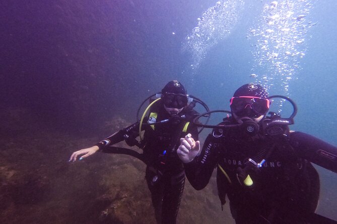 Diving at the Baia Submerged Park for certified divers - Practical details before you go