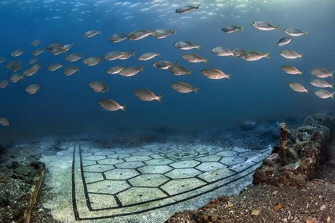 Diving at the Baia Submerged Park for certified divers - Arriving at Via Lucullo, 106 in Bacoli