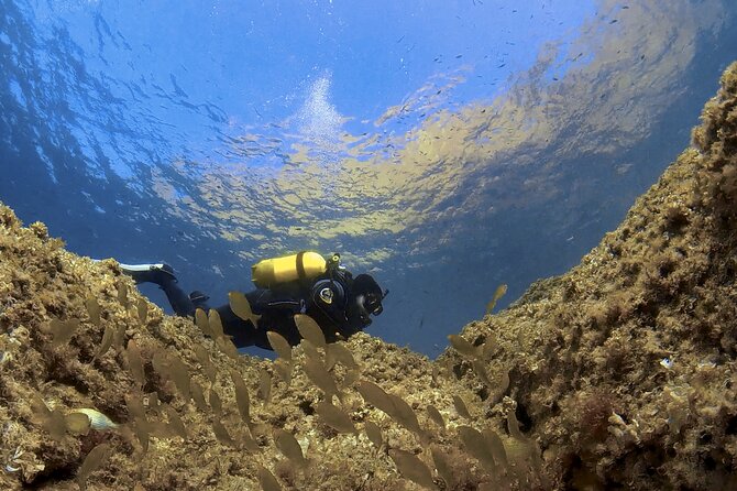 Diving baptism in the Marine Reserve of Cabo Tiñoso - What the first underwater session is meant to teach you