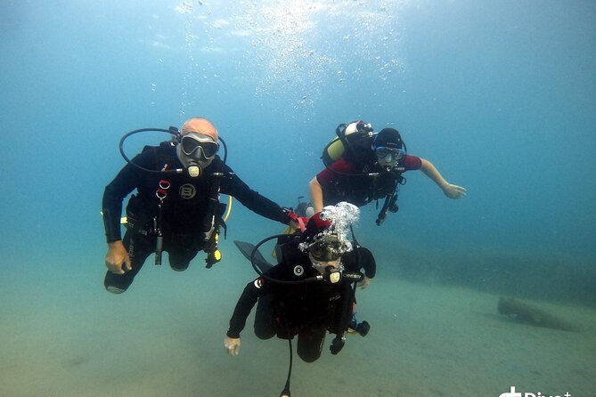 Diving baptism in the Marine Reserve of Cabo Tiñoso - Timing, weather, and the return to La Azohía