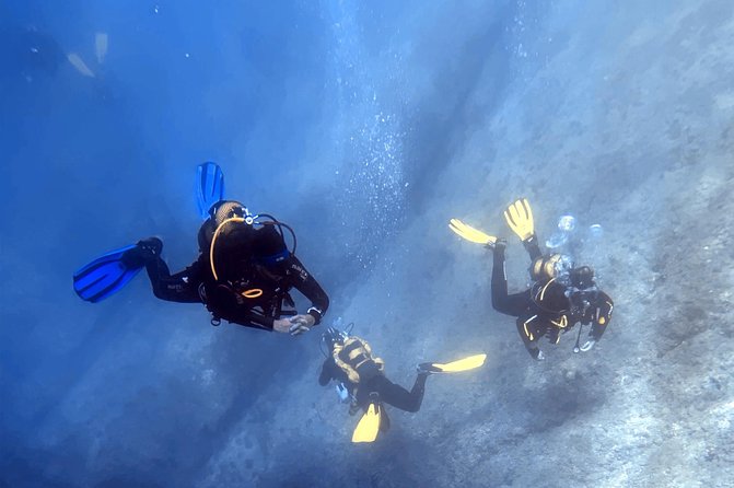 Diving baptism in the Marine Reserve of Cabo Tiñoso - Seeing fish and reefs in a protected sea area