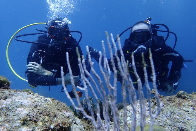 Diving baptism in the Montgrí Natural Park - What the feedback tells me about the staff