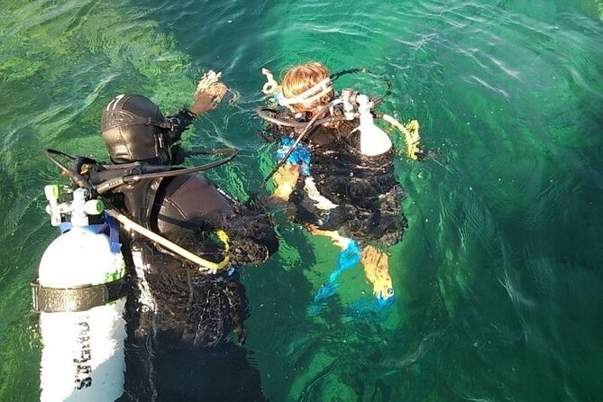Diving baptism with cylinders (Introdive) at the Capo Carbonara Marine Protected Area - Quick take: what matters most