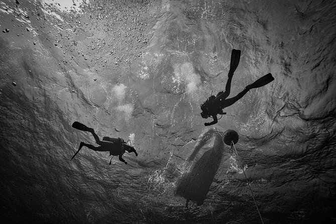 Diving baptism with cylinders (Introdive) at the Capo Carbonara Marine Protected Area - What the five to 15 minutes underwater feels like