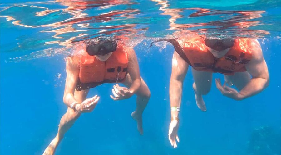 diving catalina island from punta cana - Should you book the Catalina Island scuba trip?