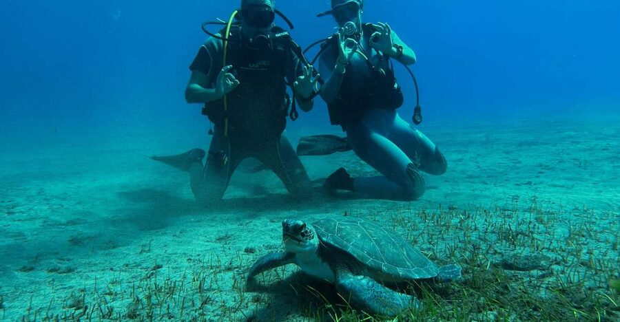 Diving course for beginners in turtle area Tenerife - Starting at Abades beach with a short walk to the sea