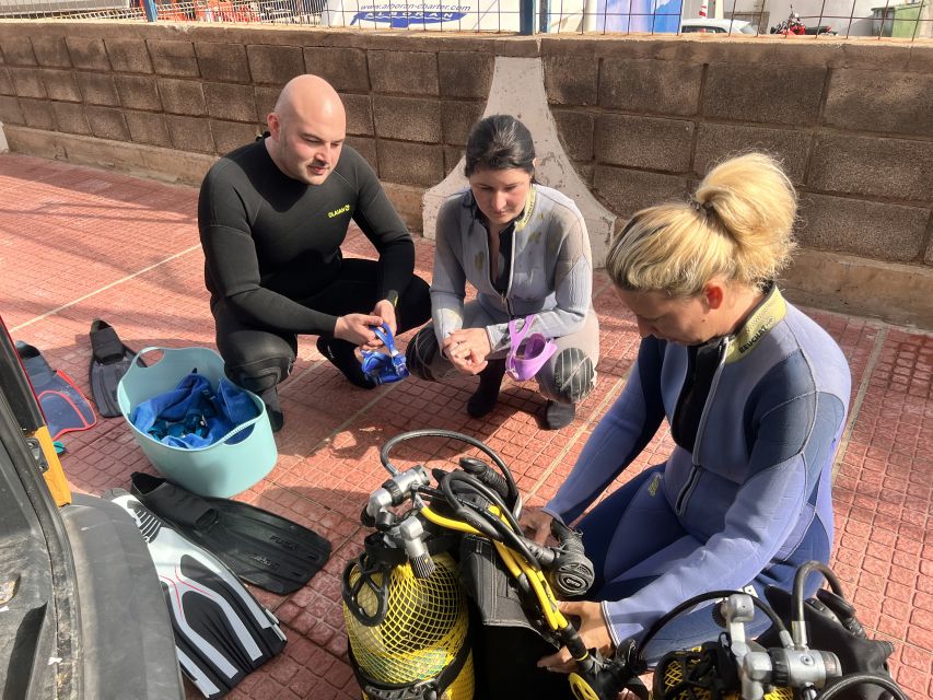 Diving course for beginners in turtle area Tenerife - What to bring and what not to expect