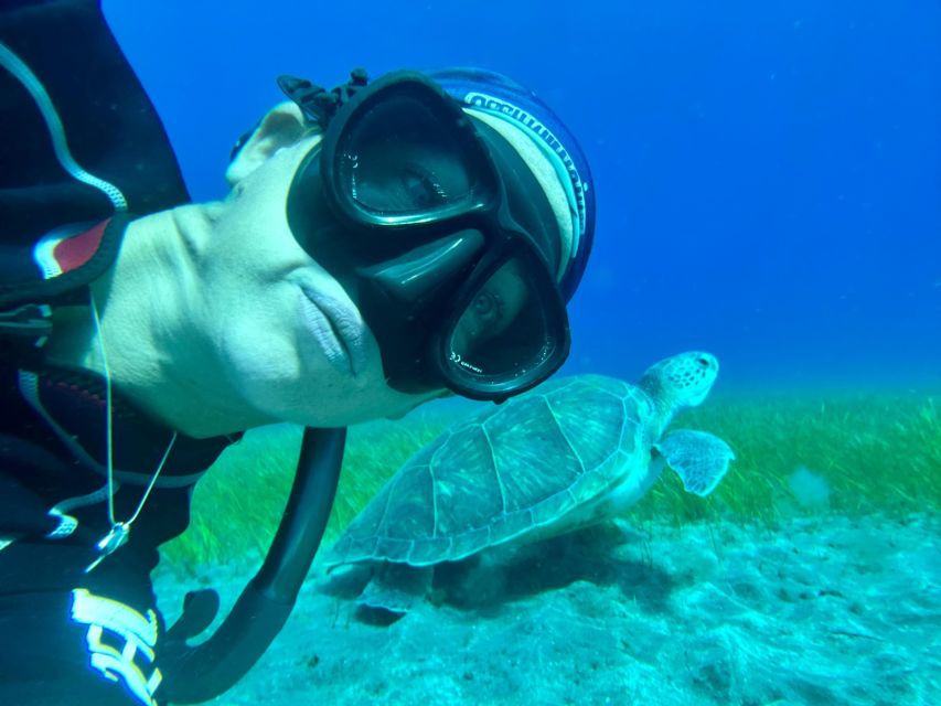 Diving course for beginners in turtle area Tenerife - Who will enjoy this Abades experience most