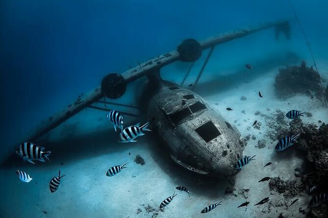 Diving day - What the first underwater session can offer