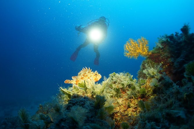 Diving day tour with 2 dives - Setting Out From Tucepi at 9:30 a.m.