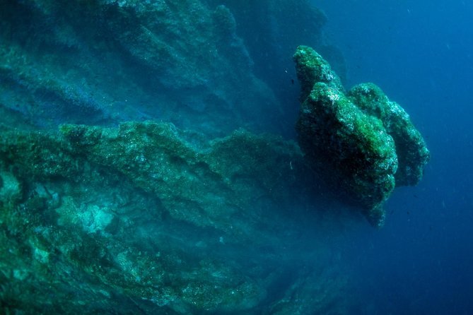 Diving day tour with 2 dives - Why the Five-Person Limit Matters