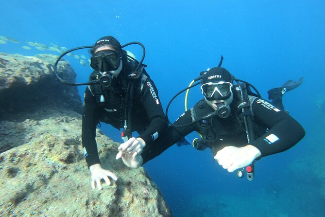 Diving experience in Malta - What may not suit you