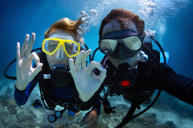 Diving experience in Polignano a Mare with certification - Practical timing, weather, and cancellation advice