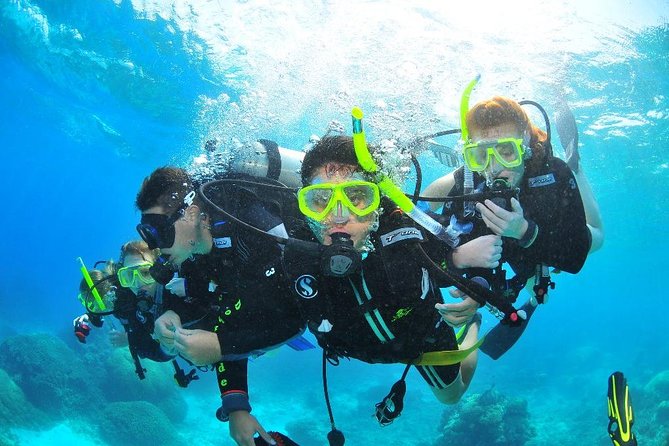 Diving (For Beginner diver) - Pattaya - Starting Around 8:00 am With Shared Pickup