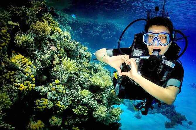 Diving for Beginner Two Dives Boat Trip with transfer in Hurghada - Is $23 a Good Price?