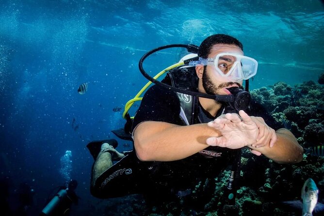 Diving for Beginner Two Dives Boat Trip with transfer in Hurghada - What You May See Beneath the Red Sea