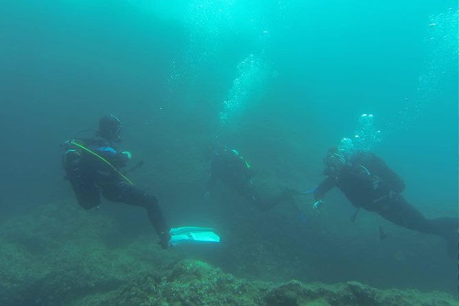 Diving for patented divers - What the $157.28 price gets you