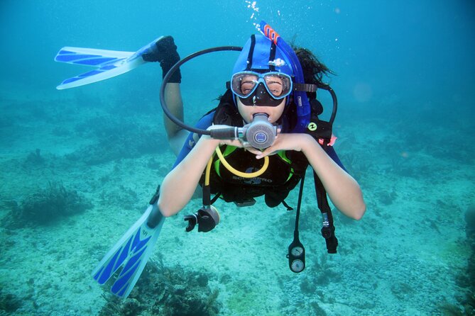 Diving Full Day 2 Stops Boat Trip For Beginners With Lunch and Transfer–Hurghada - Who will enjoy this Hurghada boat trip most?