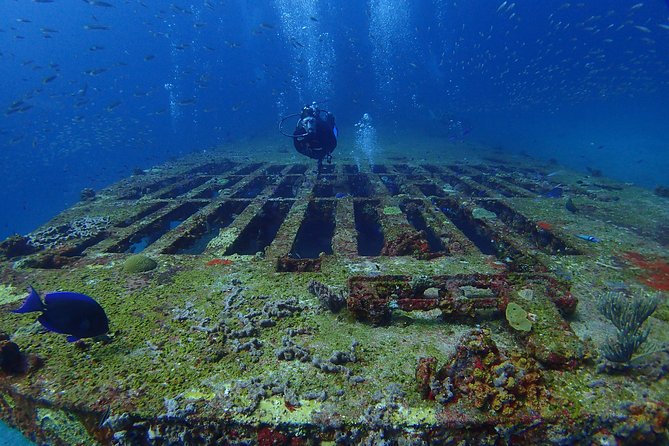 Diving in Cancun for Certified Divers | 2 Dives | All Inclusive - Getting to Pescador in Cancun