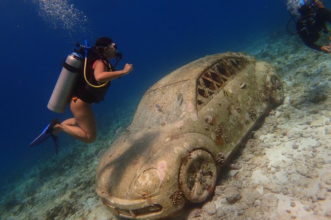 Diving in Cancun for Certified Divers | 2 Dives | All Inclusive - The reef outing adds the natural side