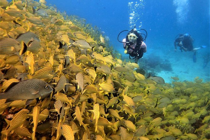 Diving in Cancun Underwater Museum of Art - First underwater stop: the MUSA sculpture field