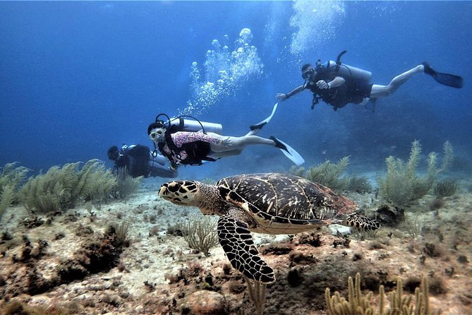 Diving in Cancun Underwater Museum of Art - Getting ready with Eugene, Julia, Artem, or Dmitry