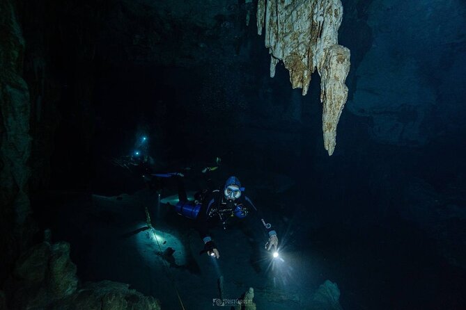 Diving in Cenotes: discovering the Mayan Underworld - Lunch, Snacks, and a Real Break Between Sessions