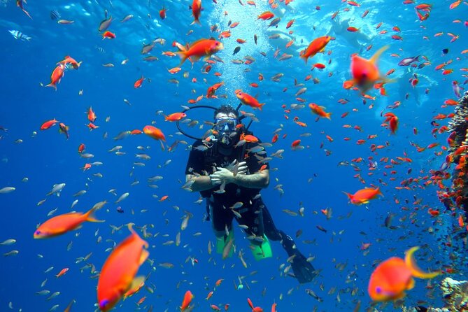 Diving in Hurghada for Beginners With Lunch and Transfer - Key points to know before booking