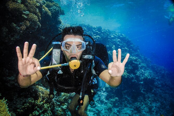 Diving in Hurghada for Beginners With Lunch and Transfer - Getting ready with equipment and instruction