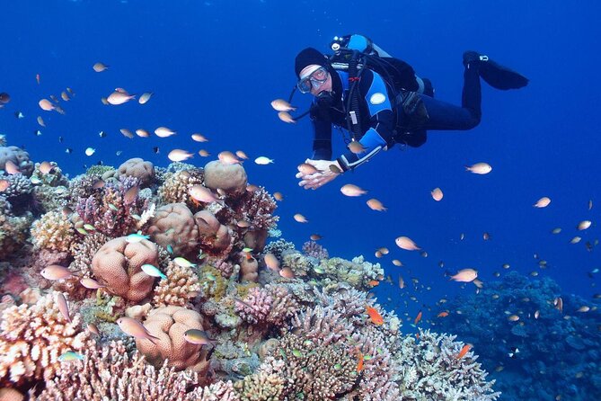 Diving in Hurghada for Beginners With Lunch and Transfer - Booking, cancellation, and practical planning