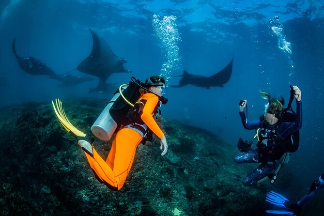 Diving in Nusa Penida - Key points at a glance
