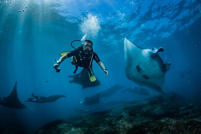 Diving in Nusa Penida - First sea stop: the manta ray area