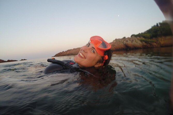 Diving in the Calanque Saint-Barthélemy - Returning to shore and discussing the species
